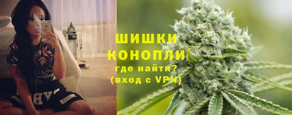 ГАЛЛЮЦИНОГЕННЫЕ ГРИБЫ Балабаново